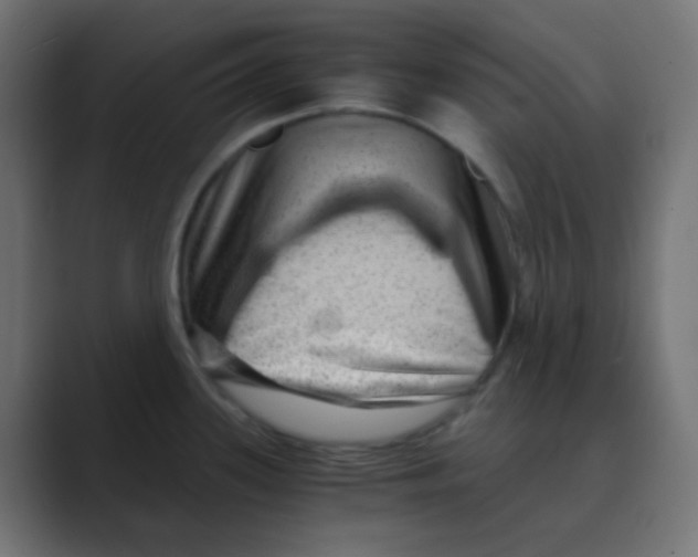 X0000088441339200706191246