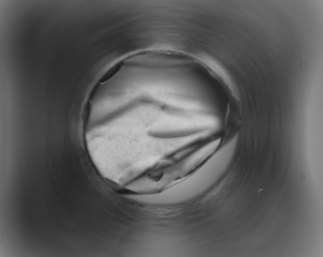X0000088441340200706191246