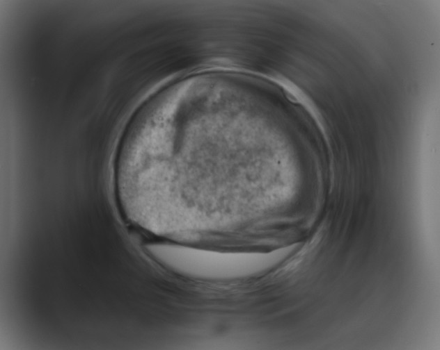X0000088441341200706191246