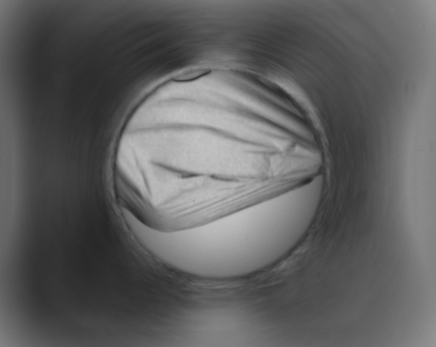 X0000088441344200706191246