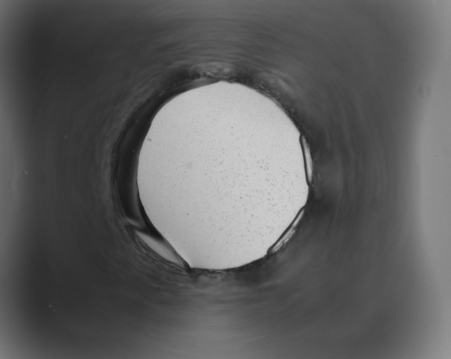 X0000088441345200706191245