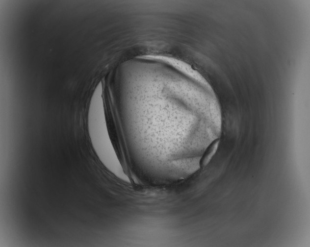 X0000088441346200706191245