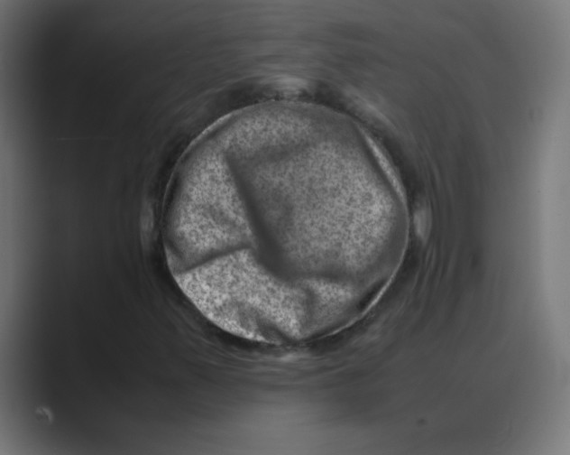X0000088441347200706191245