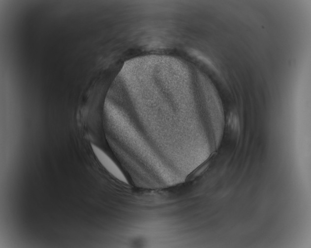 X0000088441348200706191245