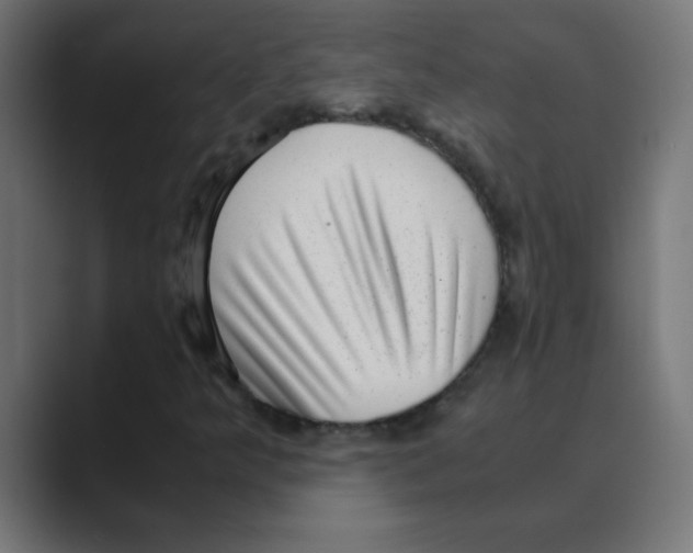 X0000088441349200706191245