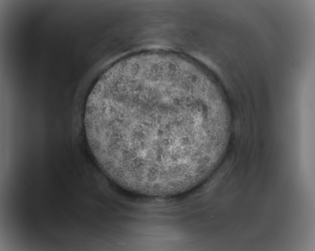 X0000088441359200706191245