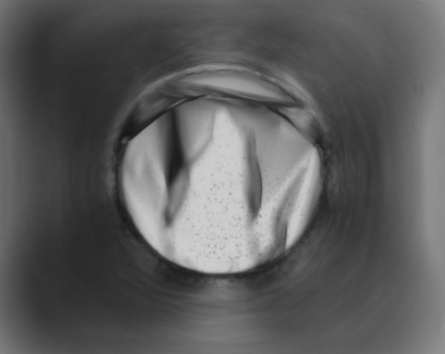 X0000088441360200706191245