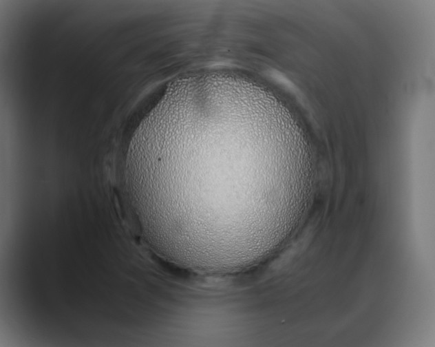X0000088441361200706191245