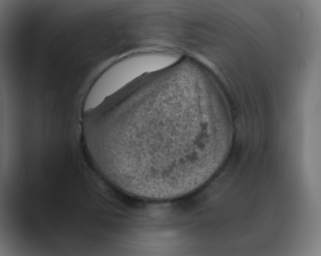 X0000088441363200706191245