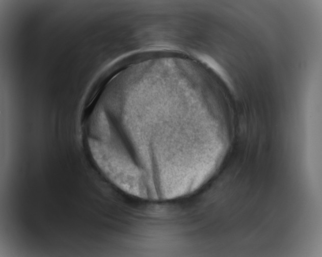X0000088441364200706191245