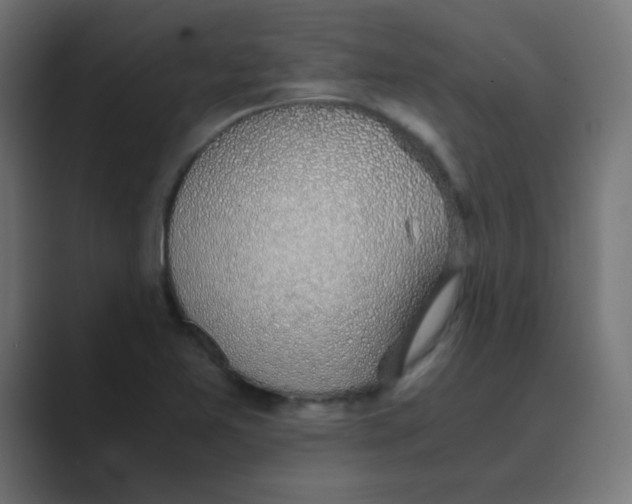 X0000088441365200706191245