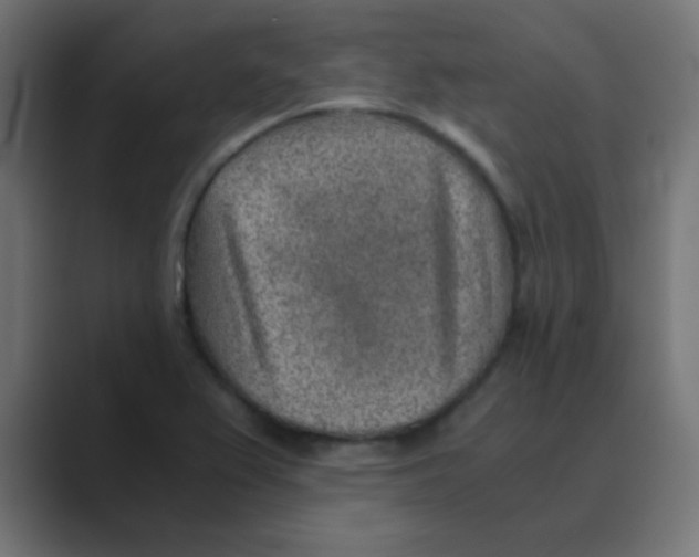 X0000088441367200706191245