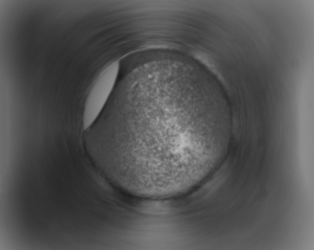 X0000088441369200706191245
