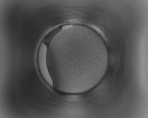 X0000088441373200706191245
