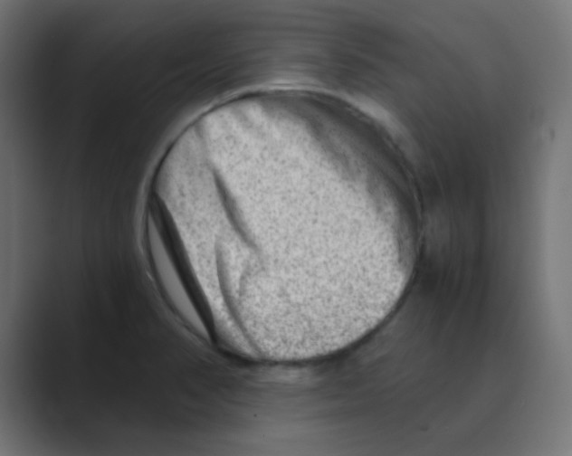 X0000088441374200706191245