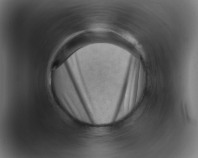 X0000088441376200706191245