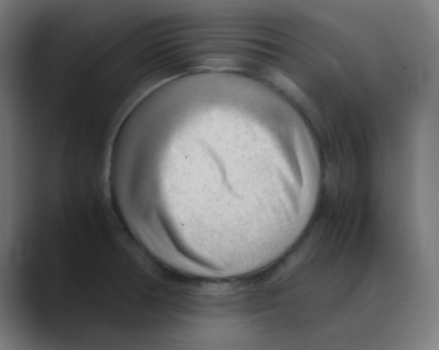 X0000088441378200706191245