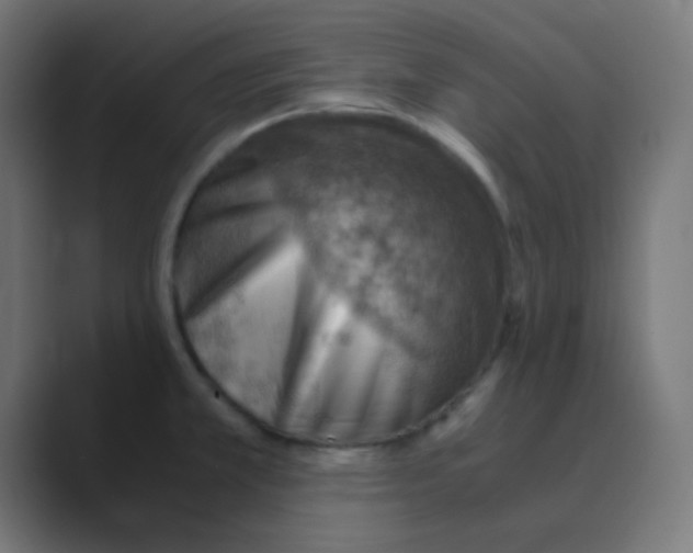 X0000088441381200706191245