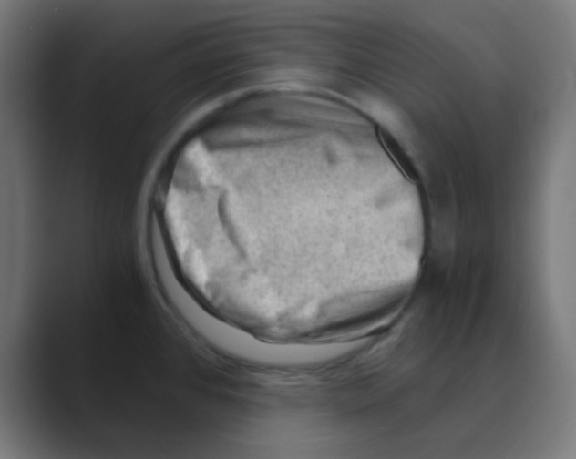 X0000088441384200706191245
