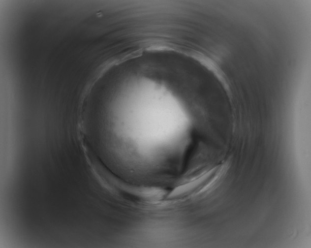 X0000088441385200706191245