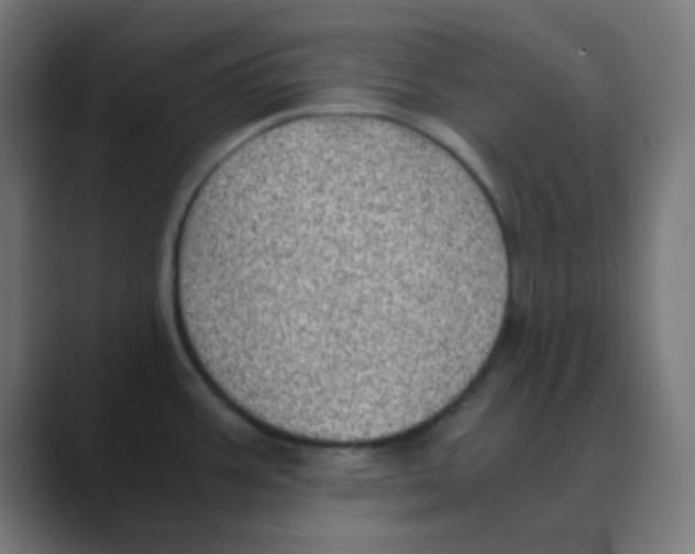 X0000088441387200706191245