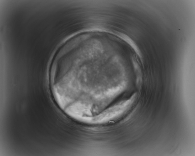 X0000088441388200706191245