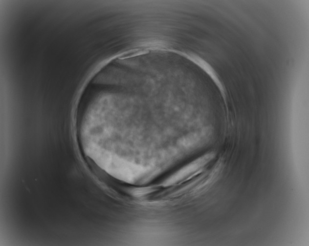 X0000088441389200706191245