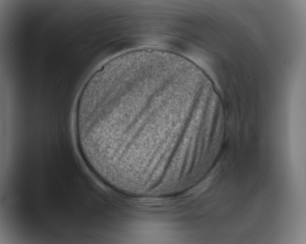 X0000088441391200706191245