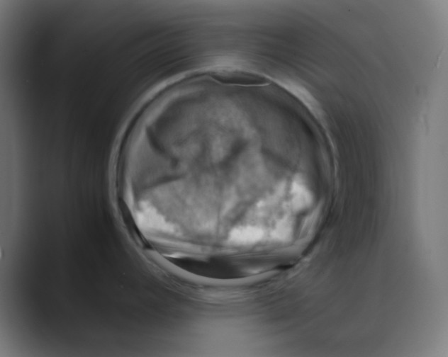 X0000088441392200706191245
