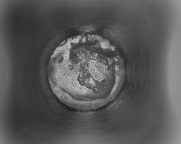 X0000088441393200706191244