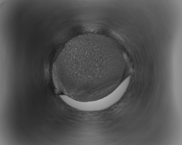X0000088441394200706191244