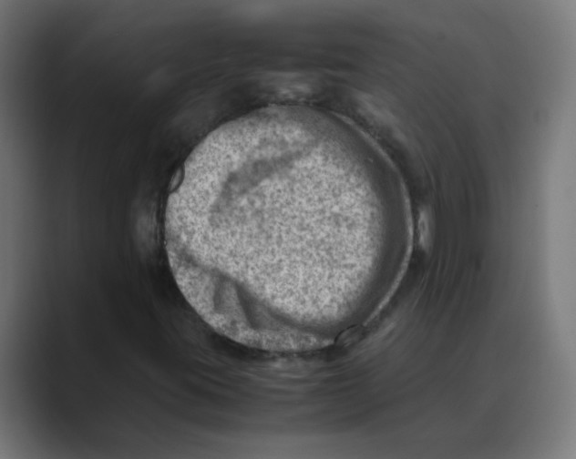 X0000088441395200706191244