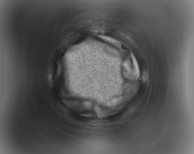 X0000088441396200706191244