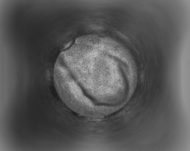 X0000088441397200706191244