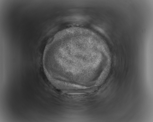 X0000088441399200706191244
