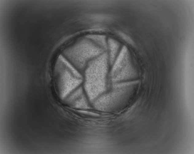 X0000088441400200706191244