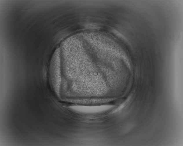 X0000088441401200706191244