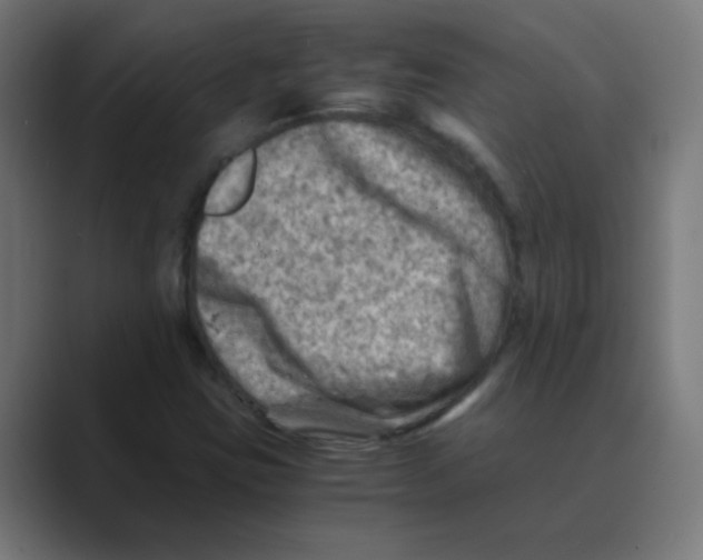 X0000088441403200706191244