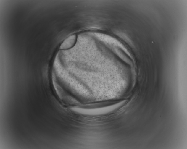 X0000088441404200706191244