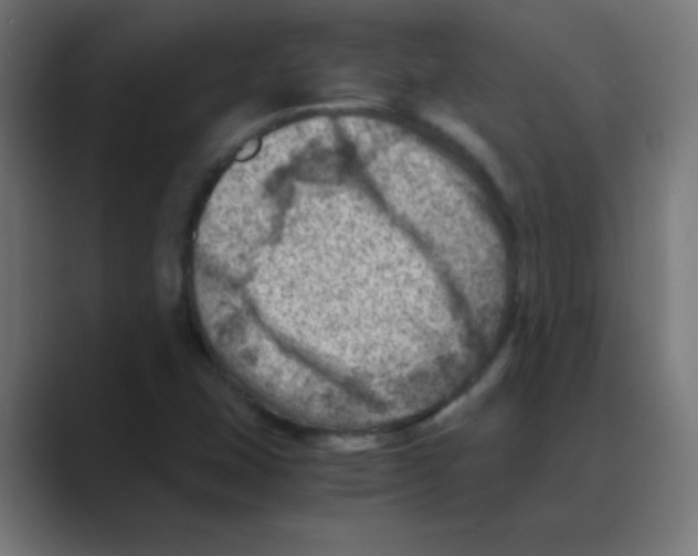 X0000088441407200706191244