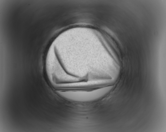 X0000088441408200706191244