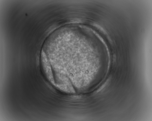 X0000088441409200706191244