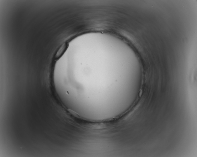 X0000088441410200706191244