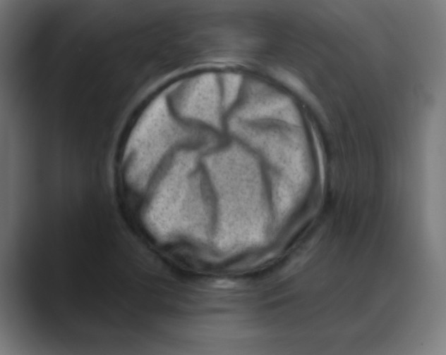 X0000088441412200706191244