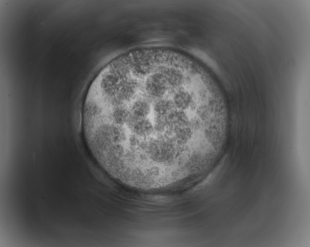 X0000088441413200706191244