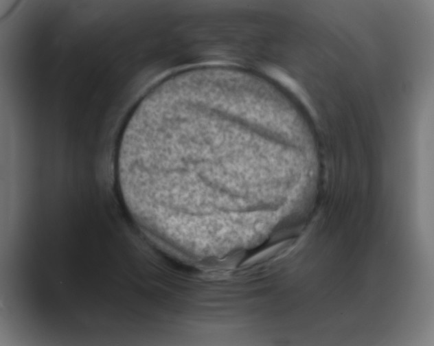X0000088441415200706191244