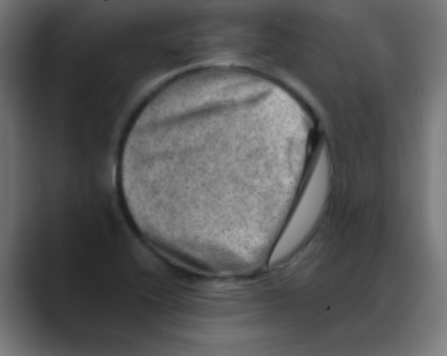 X0000088441416200706191244