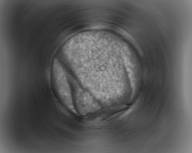 X0000088441417200706191244