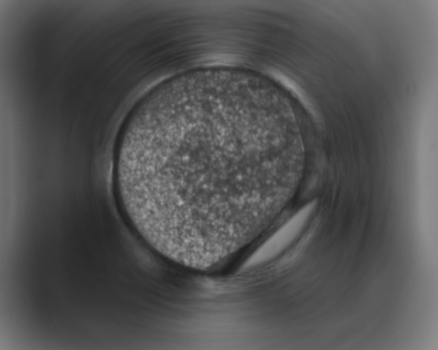 X0000088441418200706191244