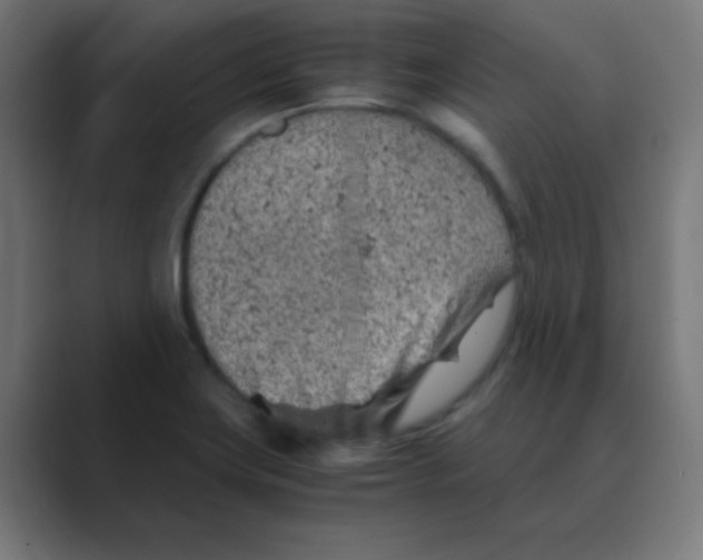 X0000088441419200706191244